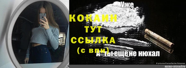 ешки Михайлов