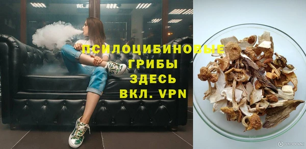 ешки Михайлов